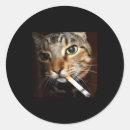 Search for ar stickers Cat