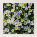 Search for daisy puzzles Flower