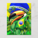 Search for brazil toucan postcards Jungle