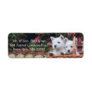 Search for doggie return address labels Dogs