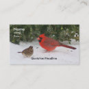 Recherche de cardinal cartes visite Neige