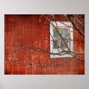 Search for crabapple posters Photography