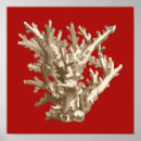 Search for coral reef posters Nature