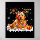 Search for golden retriever posters Holiday special offer