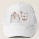 Recherche de minous casquettes Amoureux des chats