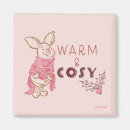 Search for cosy magnets Winter