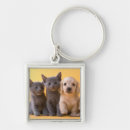 Search for dachshund pictures keychains Sitting