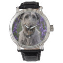 Recherche de irish montres Dog
