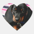 Search for dog face stickers Cute