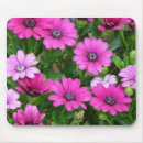 Search for geranium mousepads Nature