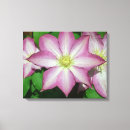 Search for vines canvas prints Floral