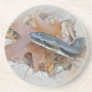 Recherche de serpent dessous de verres Noir