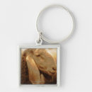 Search for dolomite keychains Europe