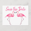 Search for pink flamingo save the dates Tropical