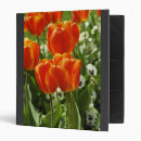 Search for tulip binders Elegant