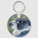 Search for peregrine falcon keychains Animal