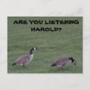 Recherche de oiseau migrateur cartes postales Oies