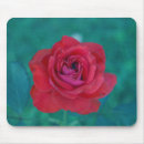 Search for frank mousepads Flower