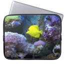 Search for angelfish electronics Ocean