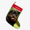 Search for rottweiler christmas stockings Pet