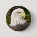 Search for bald eagles buttons Nature