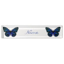 Search for butterfly name plates Insect