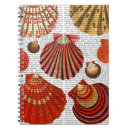 Search for clam shell Shells