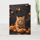 Recherche de chat de gingembre vœux cartes Citrouille