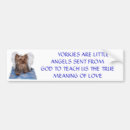 Search for little bumper stickers Dog