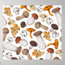 Search for food posters Nature