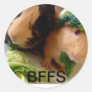 Recherche de cobayes autocollants De cobaye