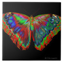 Search for backdrop tiles Butterfly