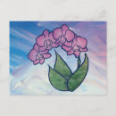 Search for orchids postcards Orchid lover