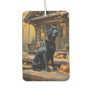Recherche de labrador voiture accessoires Laboratoire noir