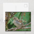 Recherche de amandier cartes postales Nature