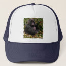 Recherche de de gorille casquettes Faune