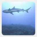 Search for angling stickers Animal