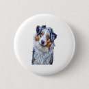 Search for australian shepherds buttons Wolf