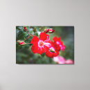 Search for fourth canvas prints Fourth of july