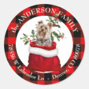 Search for plaid address stickers Trendy