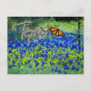 Search for texas bluebonnet postcards Wildflowers