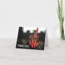 Search for chicken thank you cards Rooster