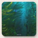 Search for hide coasters Disney pixar