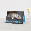 Search for ratties cards Ratty