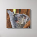 Search for koala canvas prints Wildlife
