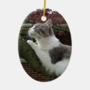 Search for thought ornaments Cat
