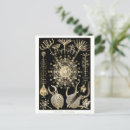 Recherche de ernst cartes postales Illustration