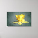 Search for yellow daffodil canvas prints Botanical