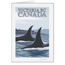 Recherche de orca whale Canada