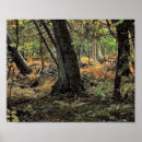 Search for autumn scene posters Leaves